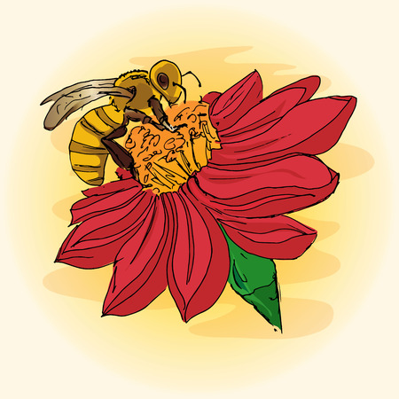 Illustration of a bee on a flower, pollination, hand-drawingのイラスト素材