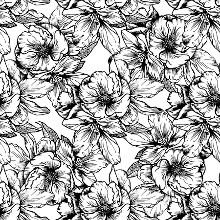 Hand-drawn illustrations. Black and white flowers and poppies. Seamless pattern.のイラスト素材