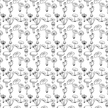 Nature illustration. Natural materials. Forest postcard. Assorted mushrooms. Edible and poisonous mushrooms. Black and white seamless patternのイラスト素材
