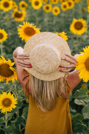 Portrait of a pretty girl in a field of sunflowers. Warm autumn shot in a field of sunflowers.の写真素材