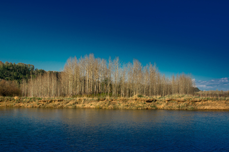 blue lake and blue sky and island of treesの写真素材
