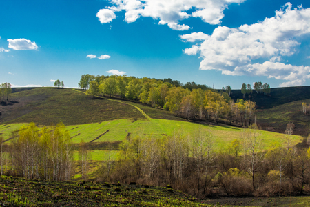 green grass on a burnt hill trees and clouds