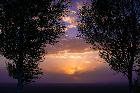 sunset on the background of two birches and the sky with cloudsの写真素材