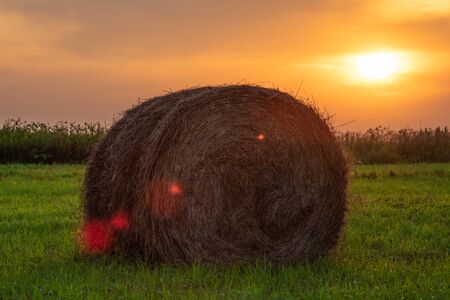 hay bale on sunset backgroundの写真素材