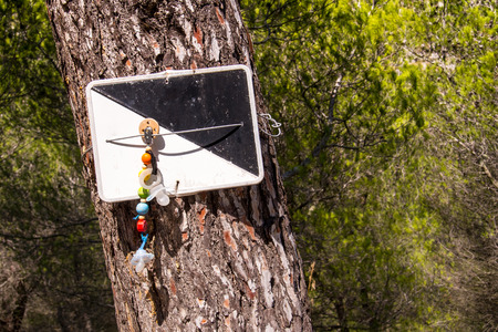 Pacifiers on a tree and signの写真素材