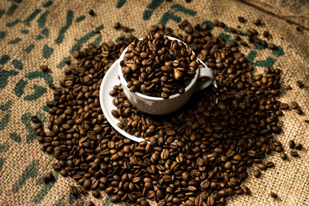 A white coffee cup full of coffee beans, surrounded by even more coffee beansの写真素材