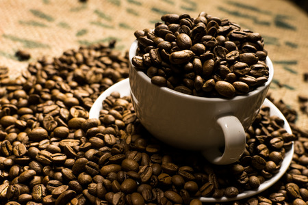 Close up of a white coffee cup full of coffee beans, surrounded by even more coffee beansの写真素材