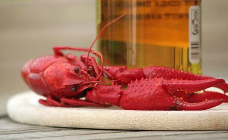 seafoodの写真素材