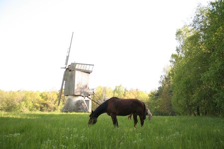 Summer in a villageの写真素材