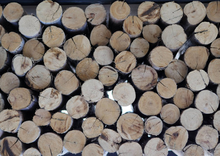 log wood background