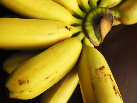 a hand of golden bananas.のeditorial素材