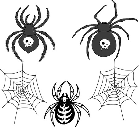 Spiders and spider web, vector setのイラスト素材