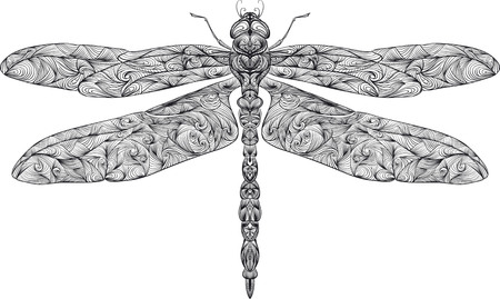 Zentangle stylized dragonfly . Hand drawn vector illustration.のイラスト素材