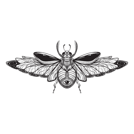 Beetle bug tattoo drawing. Scarab bug illustrationのイラスト素材