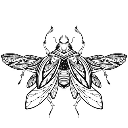 Beetle bug tattoo drawing. Scarab bug illustrationのイラスト素材