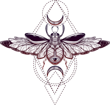 Beetle bug tattoo drawing. Scarab bug illustrationのイラスト素材