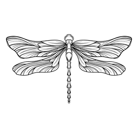 Hand drawn engraving Sketch of Dragonfly. Vector illustration for tattoo and handmade decorative brooch. Can be used for for postcard, t-shirt, fabric bag or poster. Insect collection.のイラスト素材