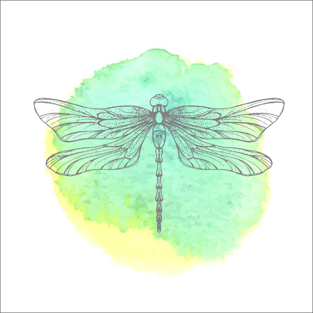Hand drawn engraving Sketch of Dragonfly. Vector illustration for tattoo and handmade decorative brooch. Can be used for for postcard, t-shirt, fabric bag or poster. Insect collection.のイラスト素材