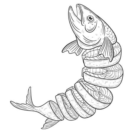 Hand drawn fish scketch cut in piecesのイラスト素材