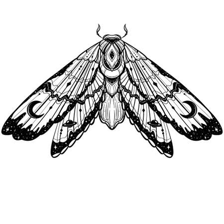 Butterfly sketch. Detailed realistic sketch of a mothのイラスト素材