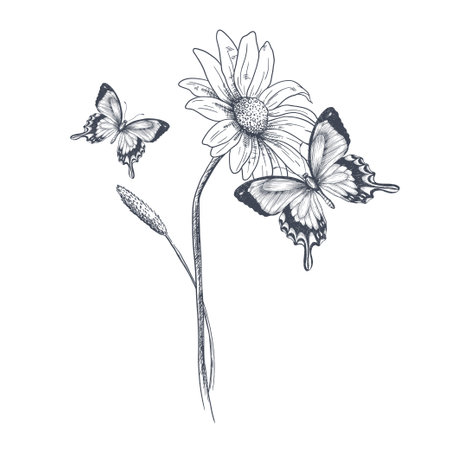 Black silhouettes of grass, flowers and butterflies isolated on white background. Hand drawn sketch flowers and insects.のイラスト素材