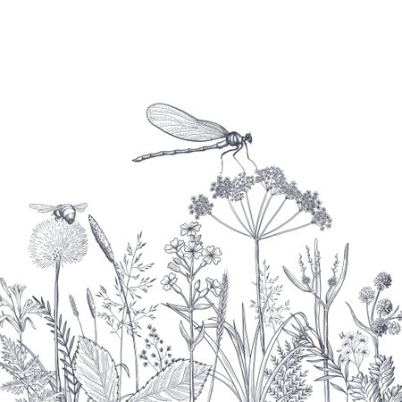 Black silhouettes of grass, flowers and herbs isolated on white background. Hand drawn sketch flowers and insects.のイラスト素材