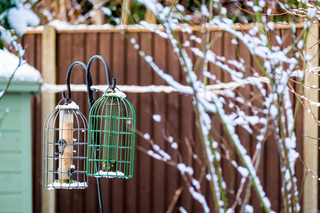 Two bird feeders hanging in the a garden during winter time.の写真素材