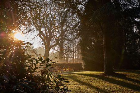 Beautiful morning sunshine in an autumn morningの写真素材