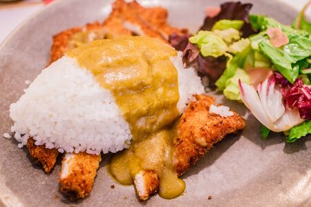 Delicious cghicken katsu rice with salad on a plate.の写真素材