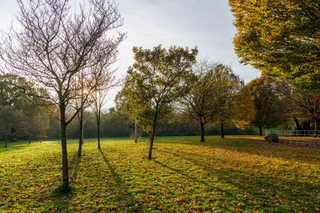 Beautiful autumn color at Grove Park, Harborne, Birmingham, UK