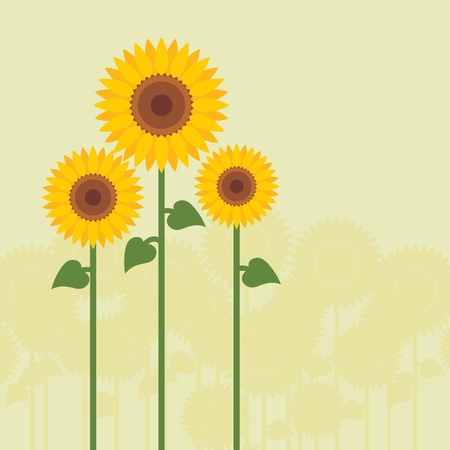 Yellow sunflowers vector backgroundのイラスト素材