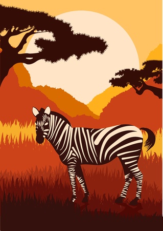 Animated zebra in wild nature landscape illustrationのイラスト素材