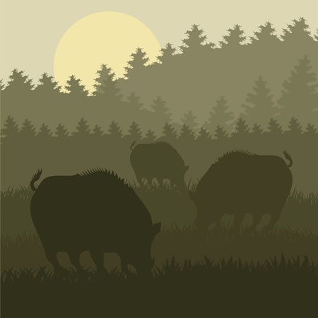 Animated wild boar in forest foliage illustrationのイラスト素材