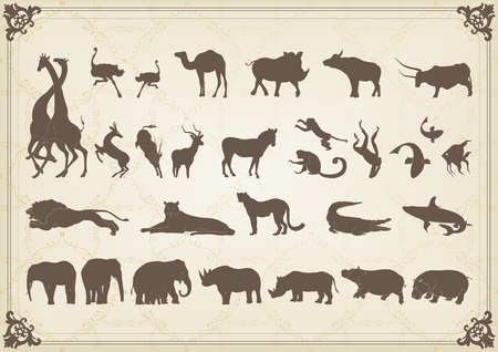 Vintage african animals illustration collectionのイラスト素材