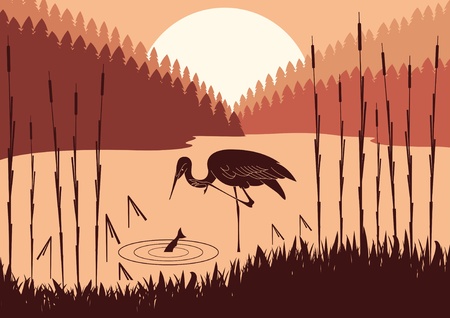 Heron in wild nature foliage illustrationのイラスト素材