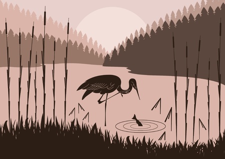 Heron in wild nature foliage illustrationのイラスト素材