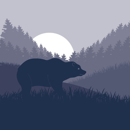 Animated brown bear in wild night forest foliage illustrationのイラスト素材