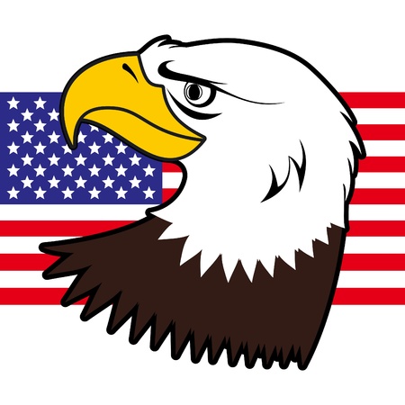 American bald eagleのイラスト素材