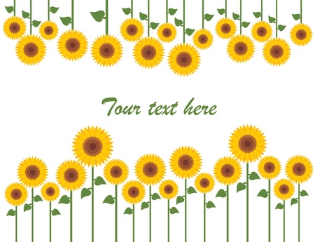 Yellow sunflowers vector backgroundのイラスト素材