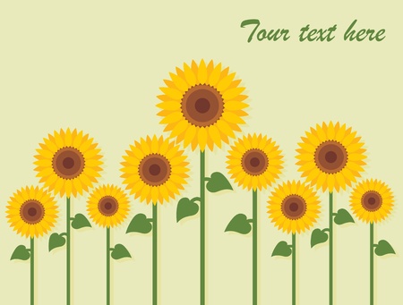 Yellow sunflowers vector backgroundのイラスト素材