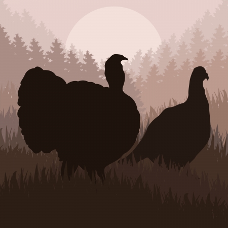 Wild turkey hunting season landscape background illustrationのイラスト素材