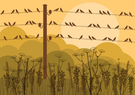 Birds in autumn countryside landscape background illustrationのイラスト素材