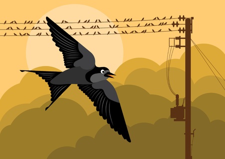 Birds in autumn countryside landscape background illustrationのイラスト素材
