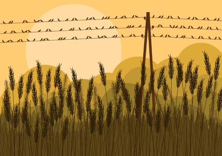 Birds in autumn countryside landscape background illustrationのイラスト素材