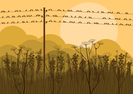 Birds in autumn countryside landscape background illustrationのイラスト素材