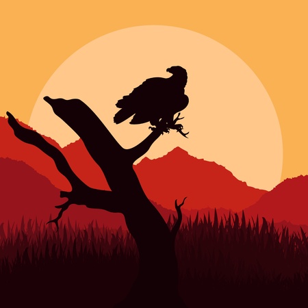 Eagle hunting in wild nature landscape illustrationのイラスト素材