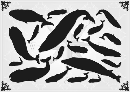 Whale illustration collection backgroundのイラスト素材