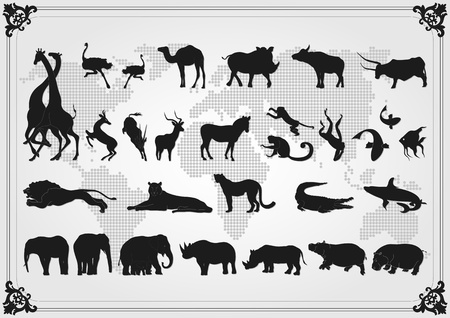 Africa animals illustration collection backgroundのイラスト素材