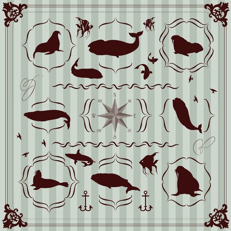 Sea lion and walrus seal vintage frames and elements illustration collectionのイラスト素材