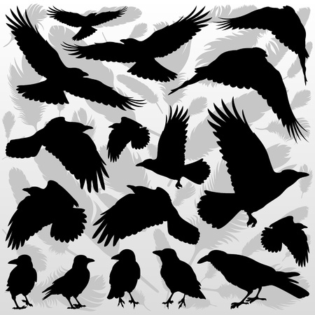 Crow and feathers silhouettes illustration collection background vectorのイラスト素材